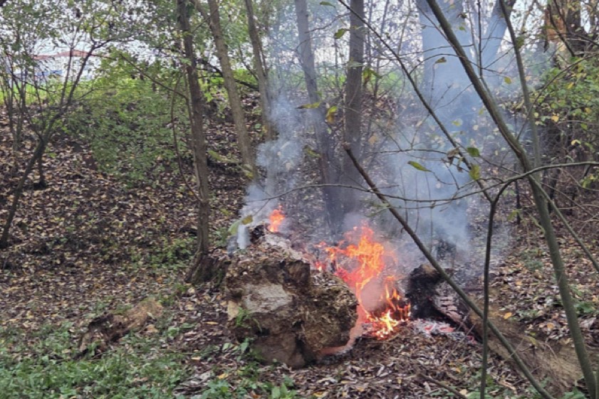 Foto: Feuerwehr Bad Abbach